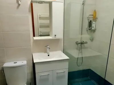 baie utilata complet apartament vanzare cumparare Sector 3 București